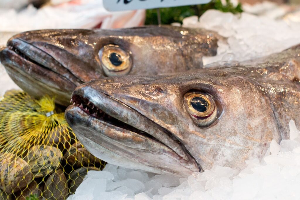 Merluza a la avilesina