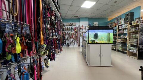 Productos par mascotas en Avilés: Huellas