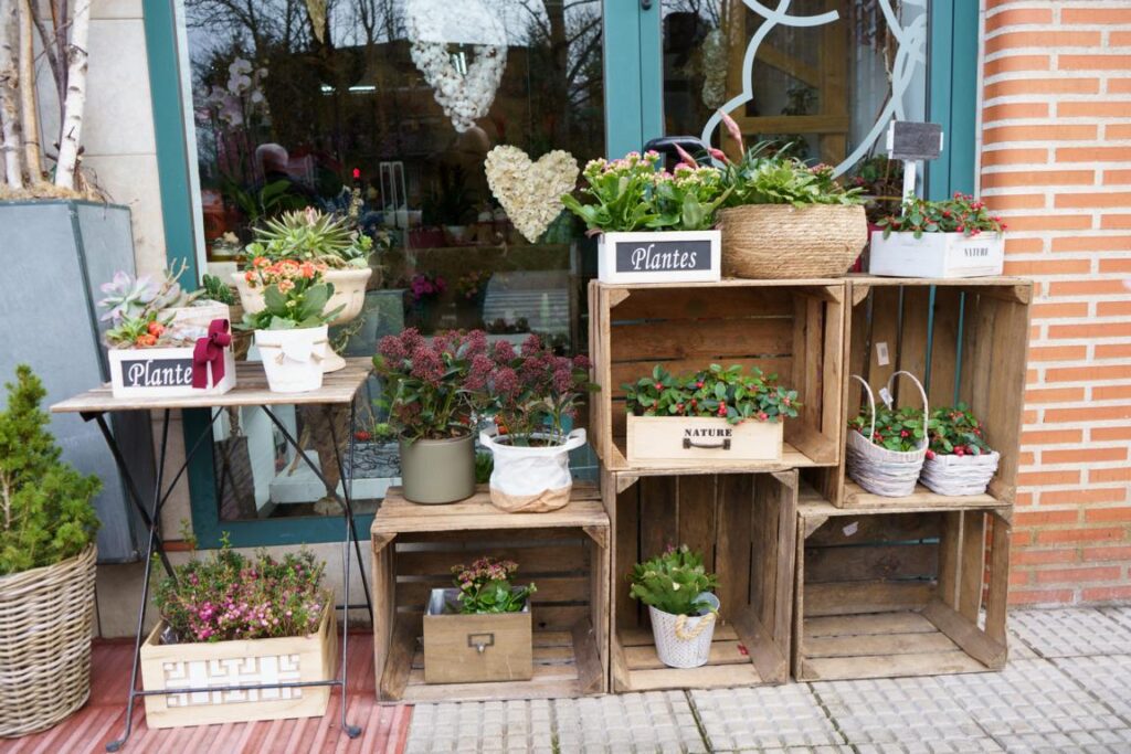 Alisma, floristerías de Avilés