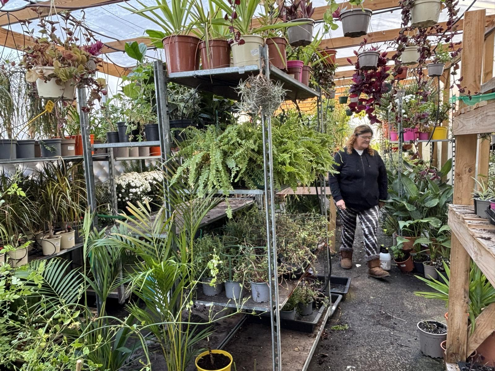 El Jardín de la ría, centro de jardinería de Avilés