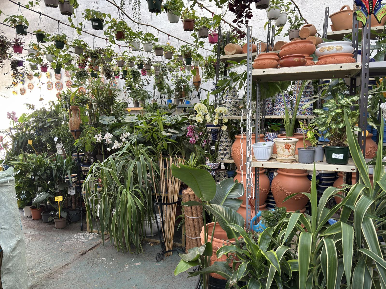 Centro de jardinería de Avilés