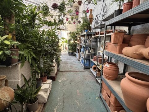 El Jardín de la ría, Avilés