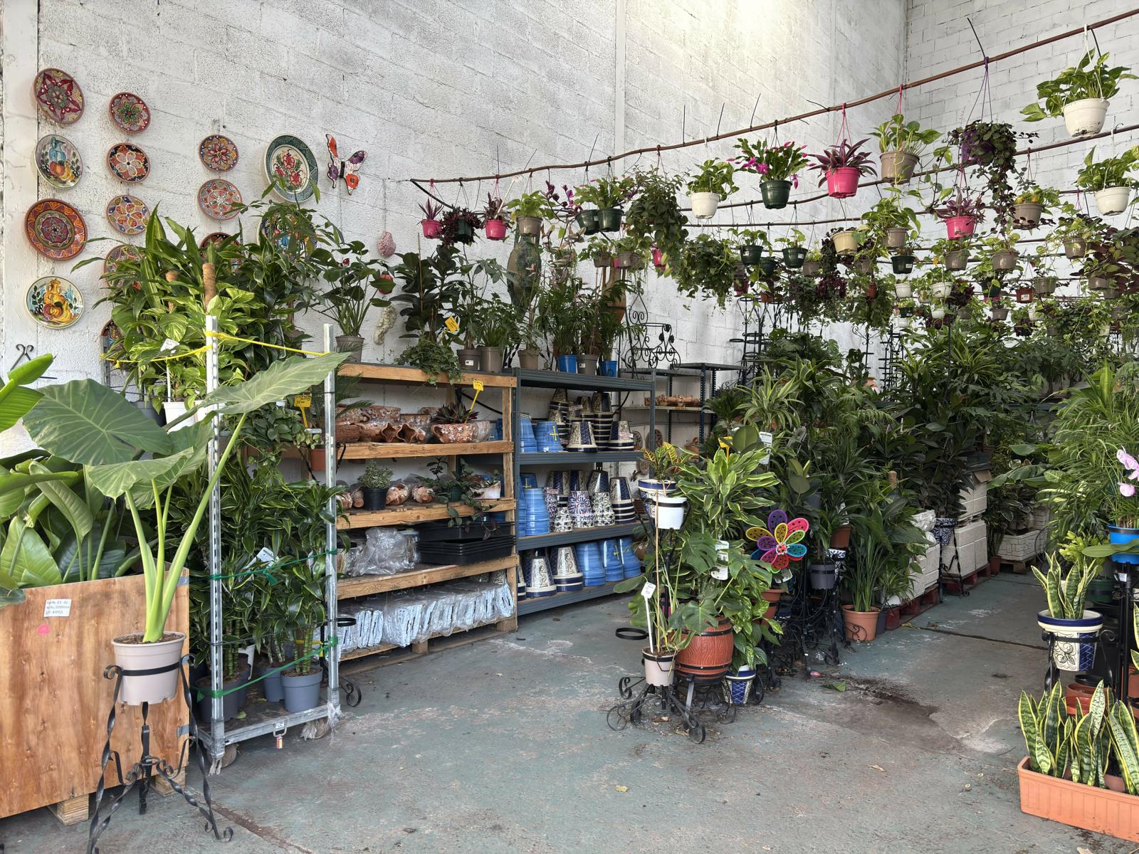 El Jardín de la ría, Avilés